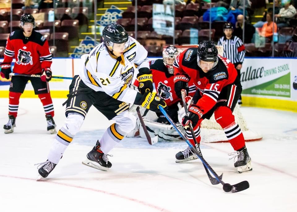 Bulldogs & Grizzlies Square Off in Annual Teddy Bear Toss | Alberni ...